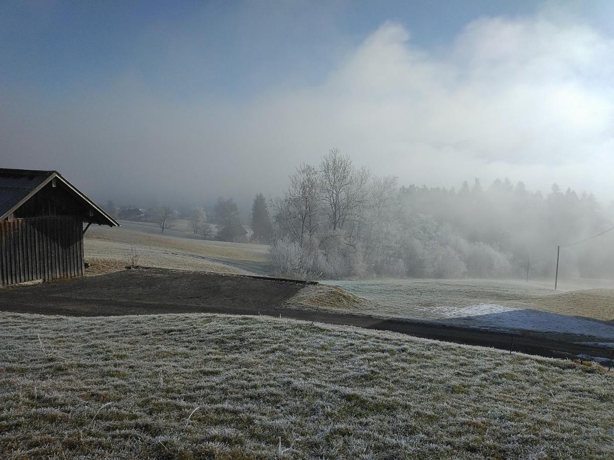 Tolles Einfamilienhaus Nahe Dem Bodensee Villa เลาเทอราค ภายนอก รูปภาพ